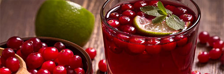 Cranberries o arándanos rojos americanos en fruta y zumo